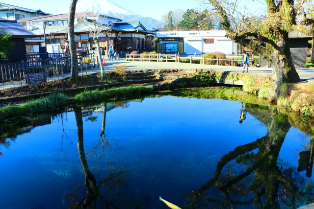 初冬の忍野八海