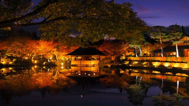 秋の夜の昭和記念公園