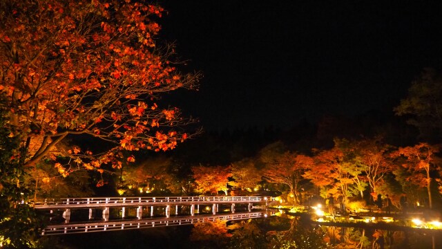 秋の夜の昭和記念公園