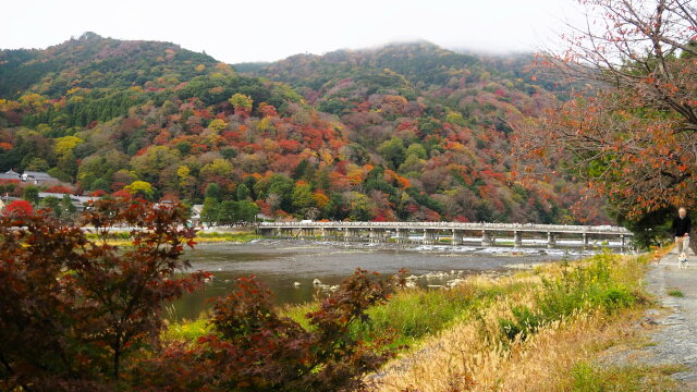 秋の嵐山