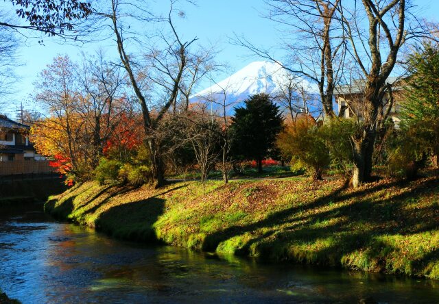 晩秋の忍野八海