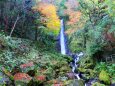 養老の滝