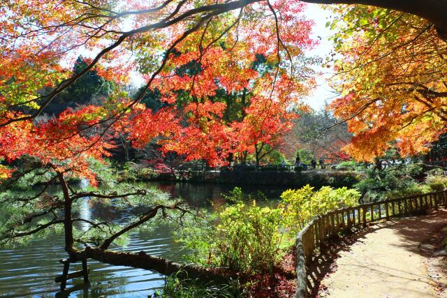 東山動植物園