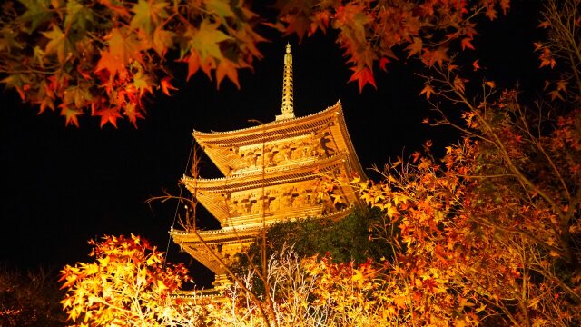 秋の夜の東寺