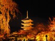 秋の夜の東寺