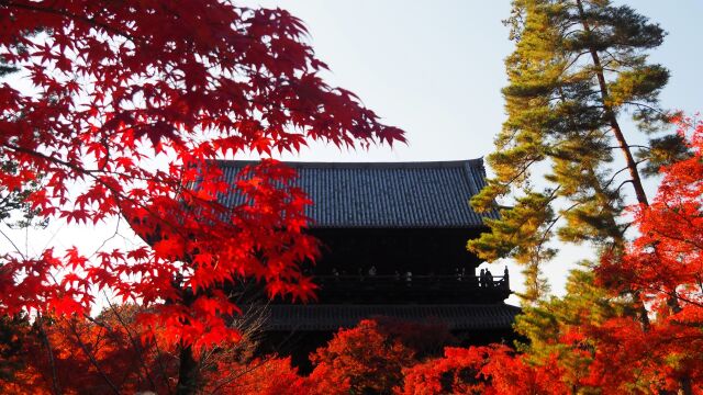 秋の南禅寺