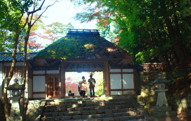 晩秋の京都