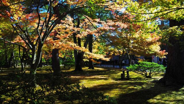 兼六園の紅葉