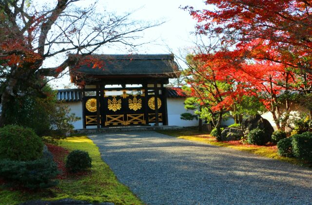 迎春醍醐寺