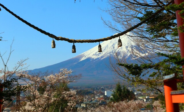 迎春富士山