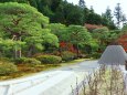 銀閣寺庭園