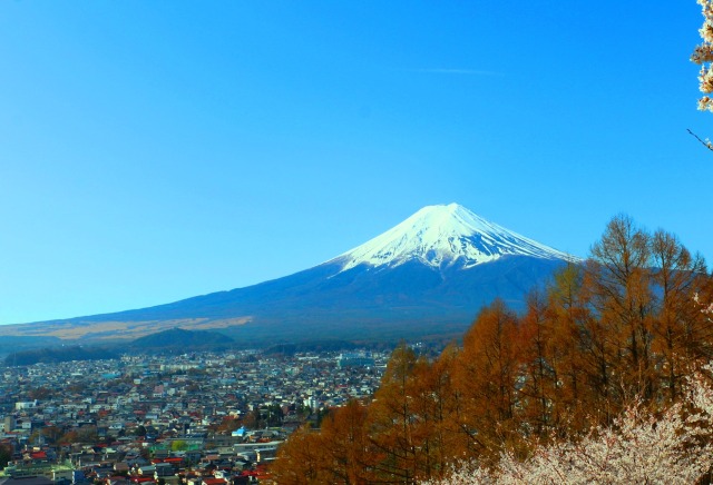 迎春富士山