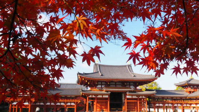 秋の平等院