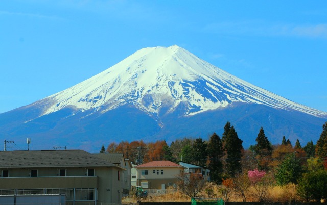 迎春富士山