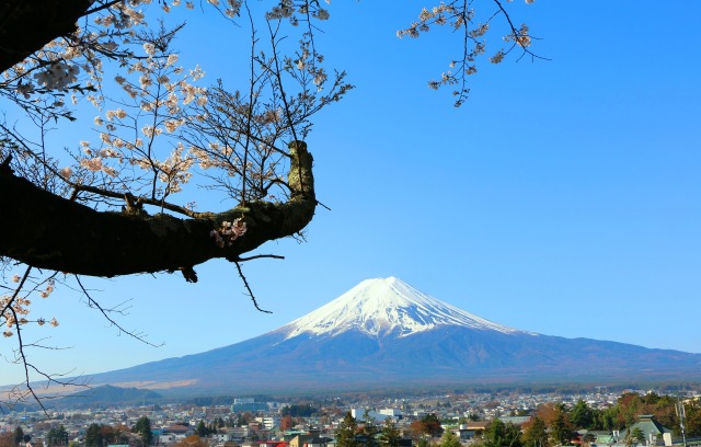 迎春富士山