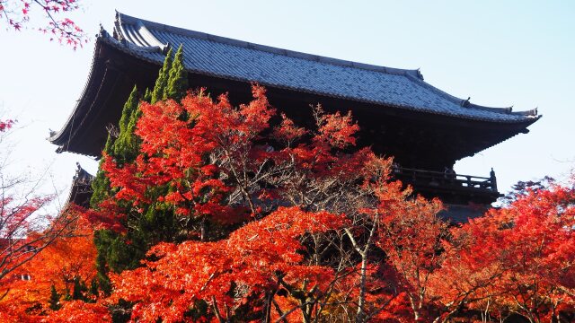 秋の南禅寺