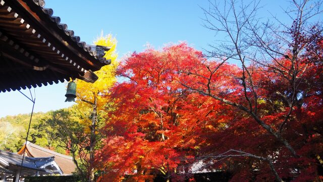 秋の南禅寺