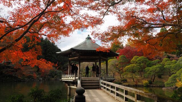 秋の成田山公園