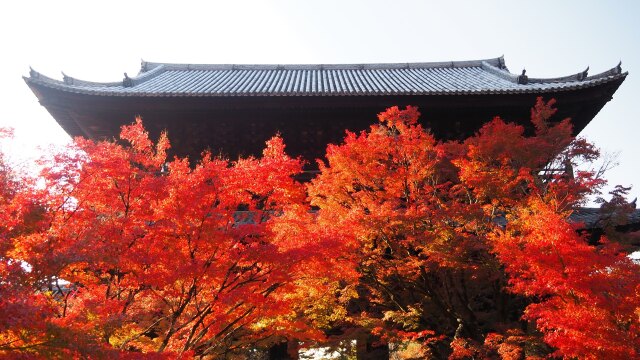 秋の南禅寺