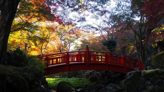 秋の熱海梅園