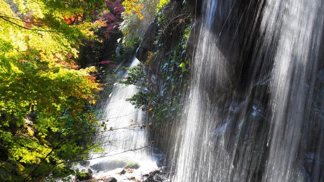 秋の熱海梅園