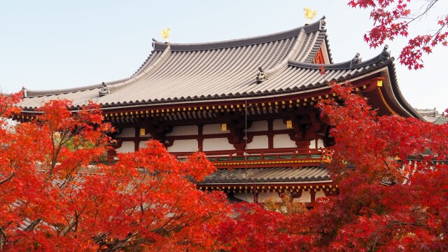 秋の平等院