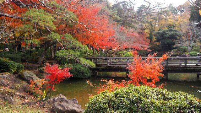 秋の成田山公園