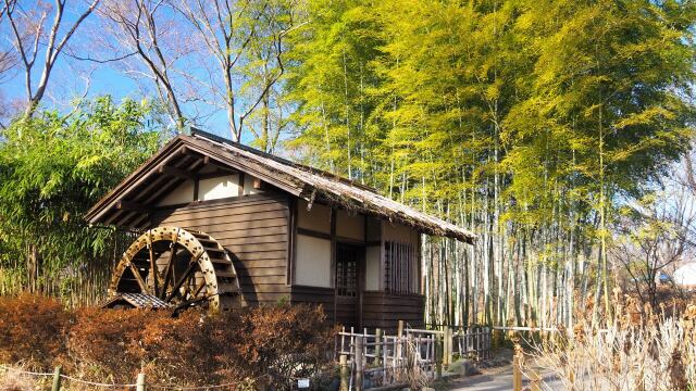 冬の府中市郷土の森博物館