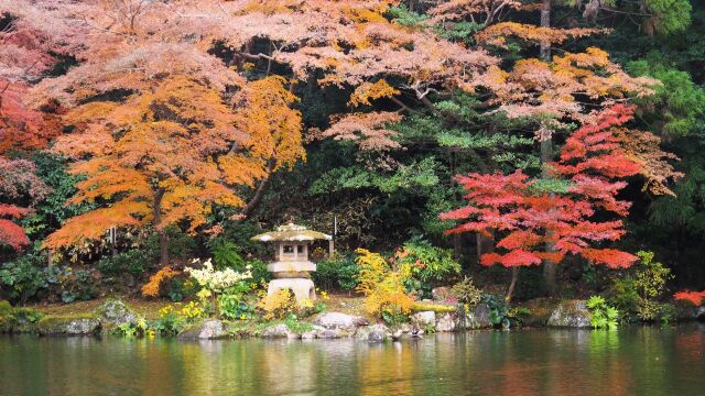 秋の成田山公園