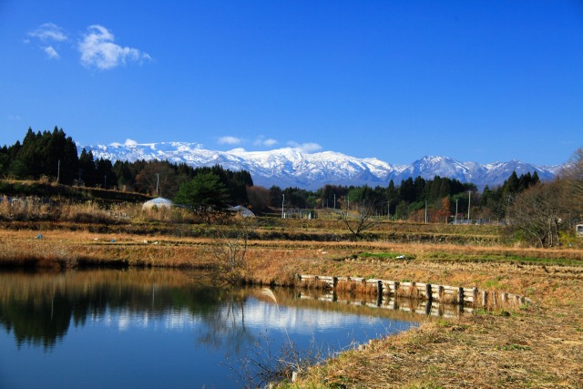 焼石連峰