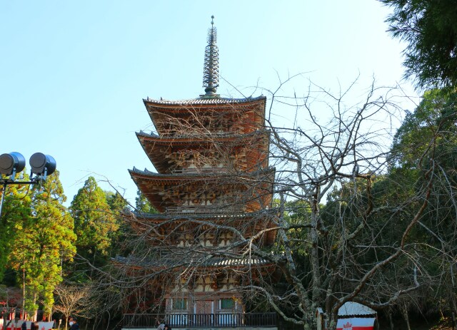 冬の醍醐寺