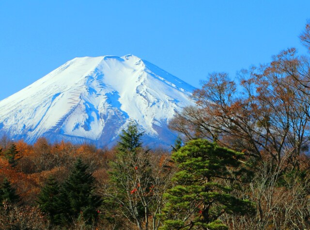 忍野八海