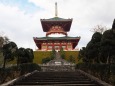 秋の成田山公園