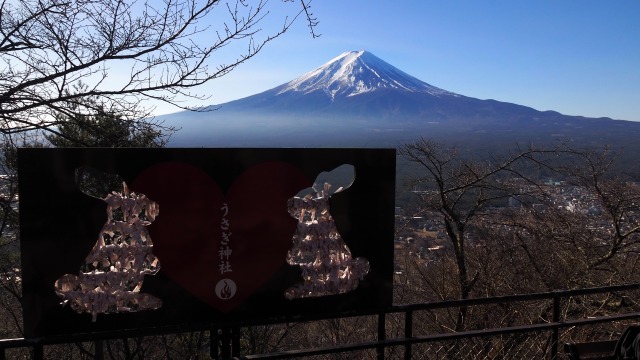 河口湖天上山公園から望む富士山