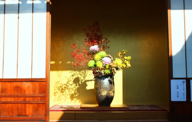 京都の寺院の花