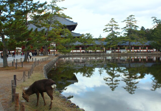 奈良公園