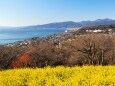 冬の吾妻山公園の風景