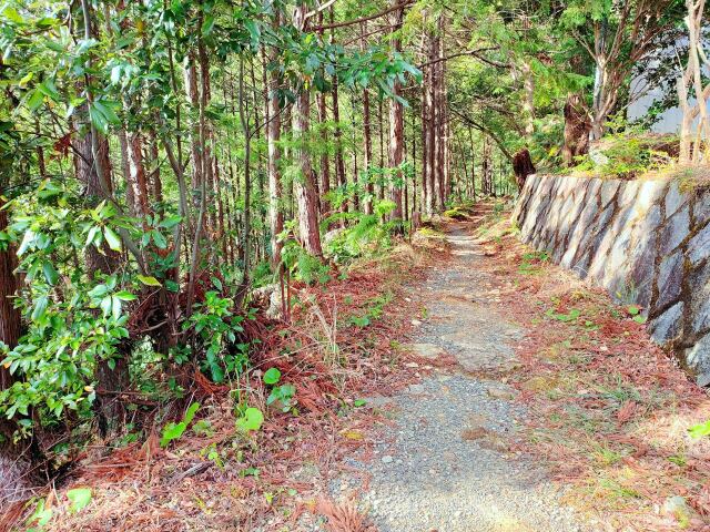 冬の散歩道