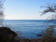 冬の吾妻山公園の風景