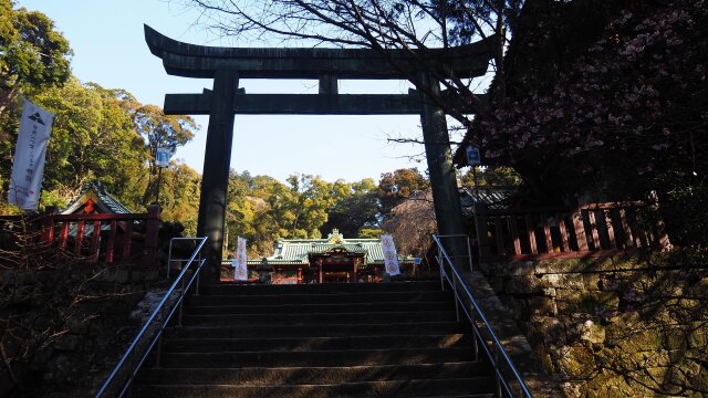 冬の久能山東照宮