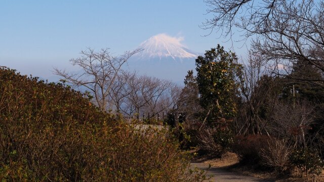 日本平から望む富士山