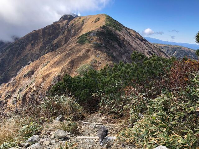 弓折岳にて