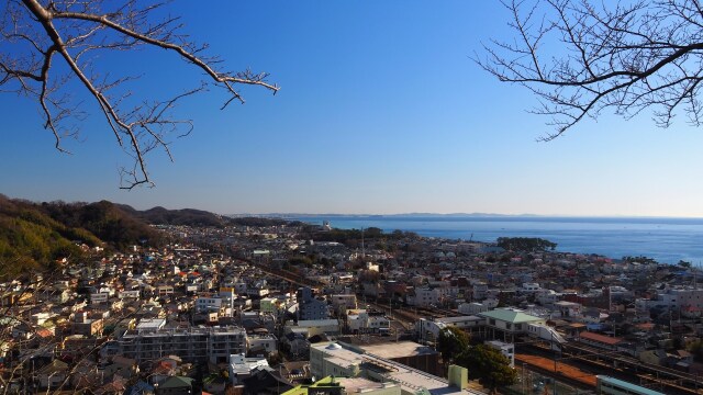 冬の吾妻山公園の風景