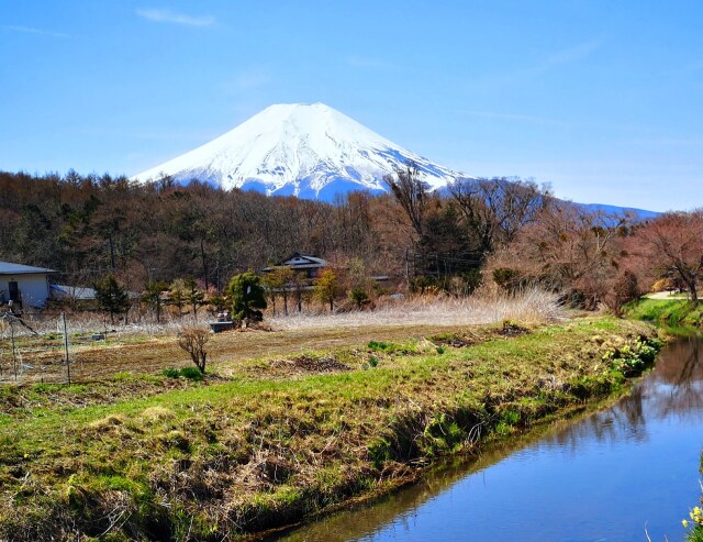 忍野八海