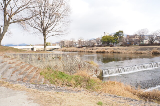 冬の鴨川