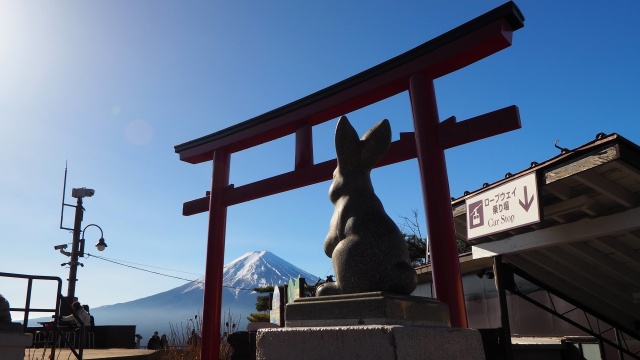 冬の河口湖天上山公園