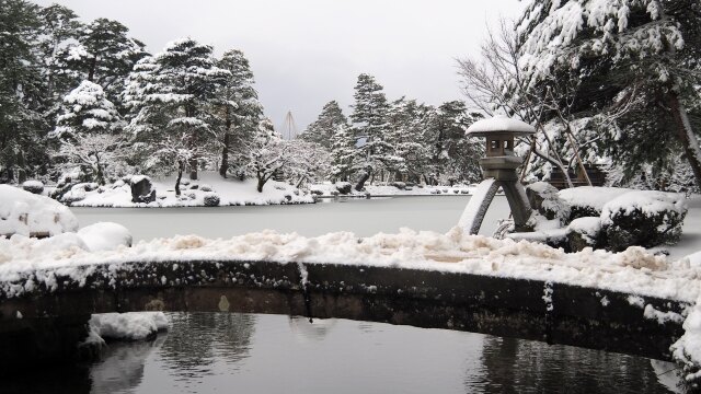 冬の兼六園