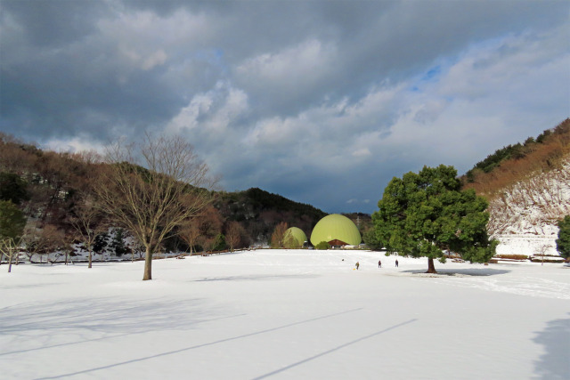 雪の公園