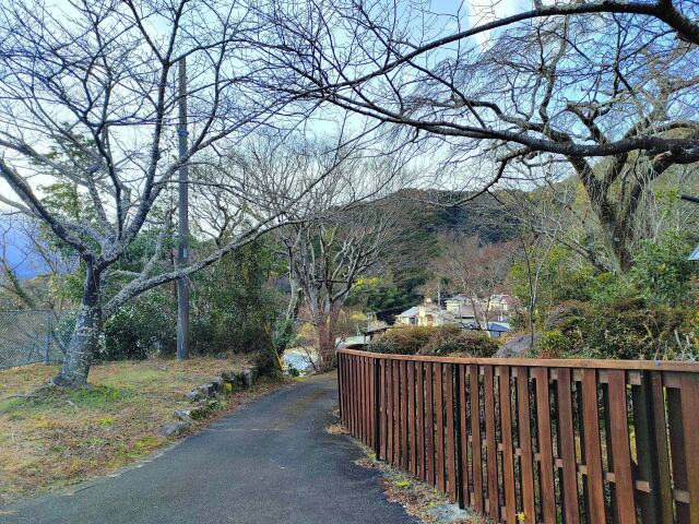 冬の散歩道