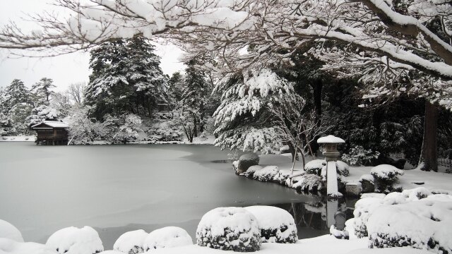 冬の兼六園